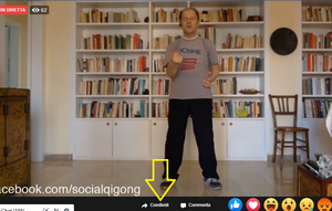 qigong online 300